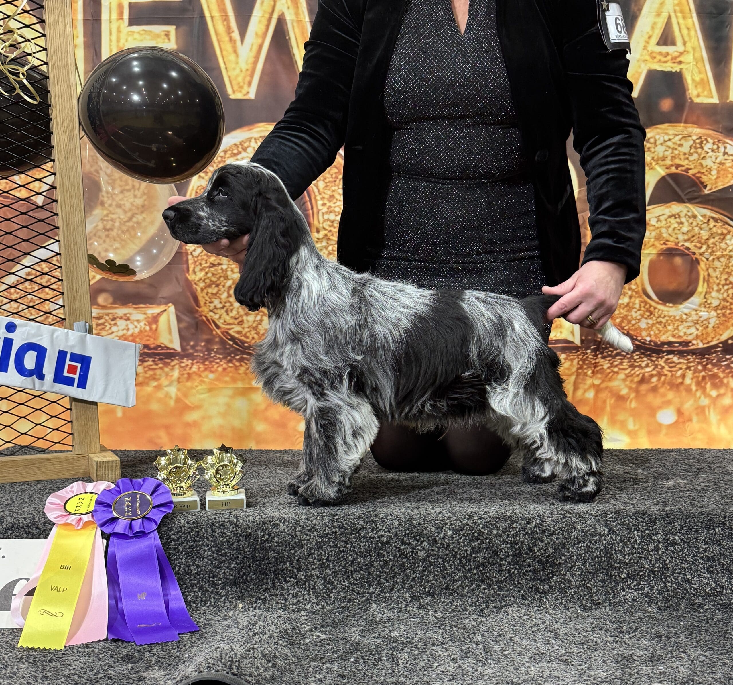 Vårgårda nyårsutställning 28/12 Tångahed