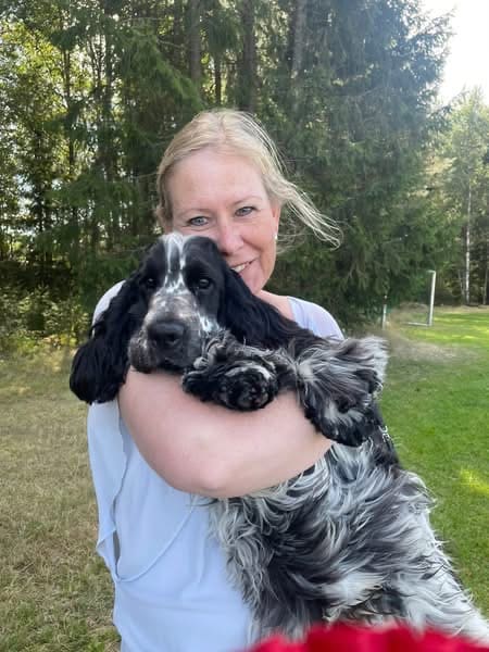 NBSK’s utställning 24/8