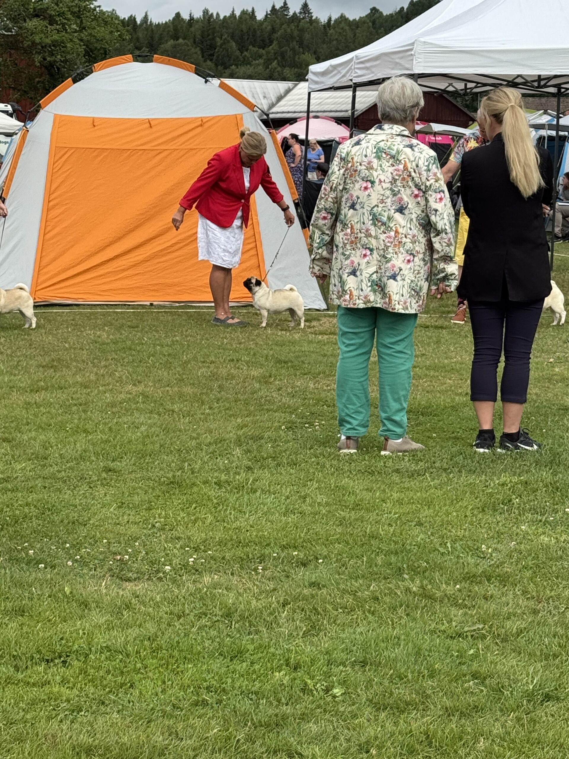 SKK Ransäter Int. DS 27/7