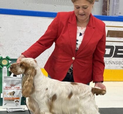 Mojito- SEU(u)CH Wavecatcher Bollinger