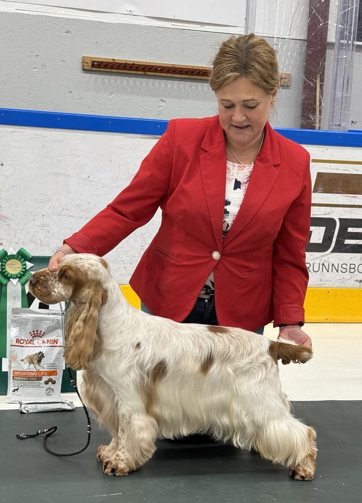 Mojito- SEU(u)CH Wavecatcher Bollinger